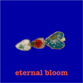 eternal bloom